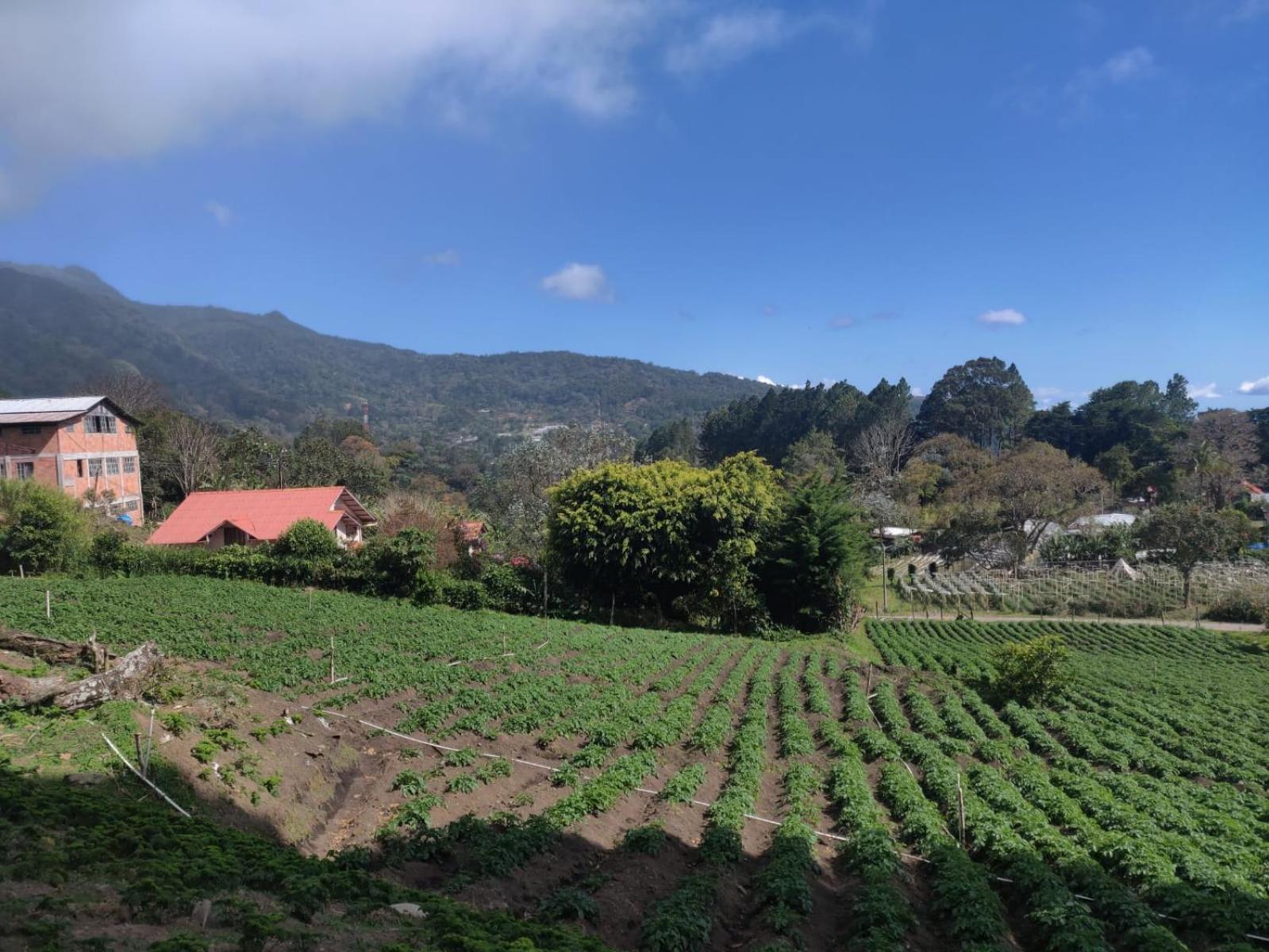 הוסטל בוקט Agartha Mountain Retreat מראה חיצוני תמונה