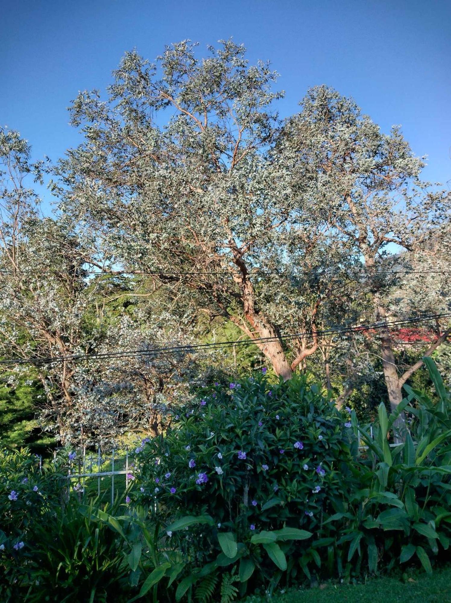 הוסטל בוקט Agartha Mountain Retreat מראה חיצוני תמונה